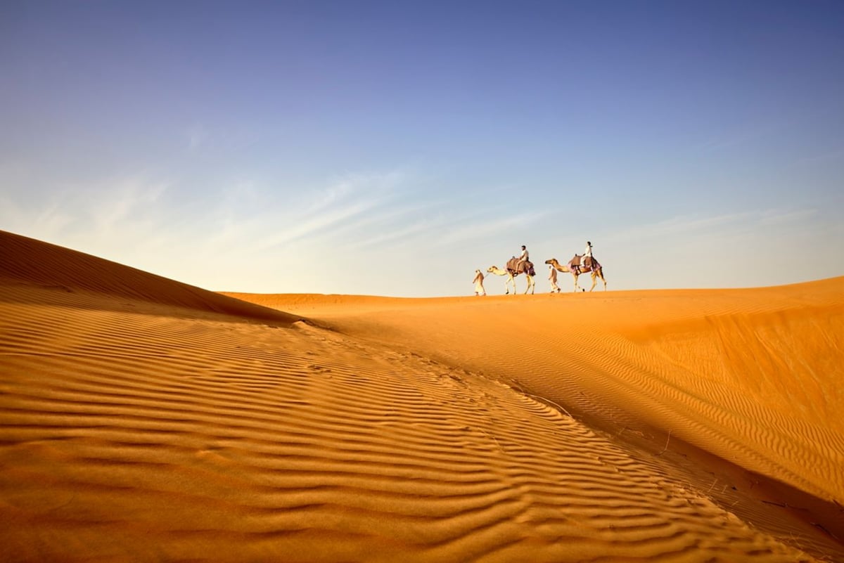 A camel caravan crossing a high ridge of golden dunes