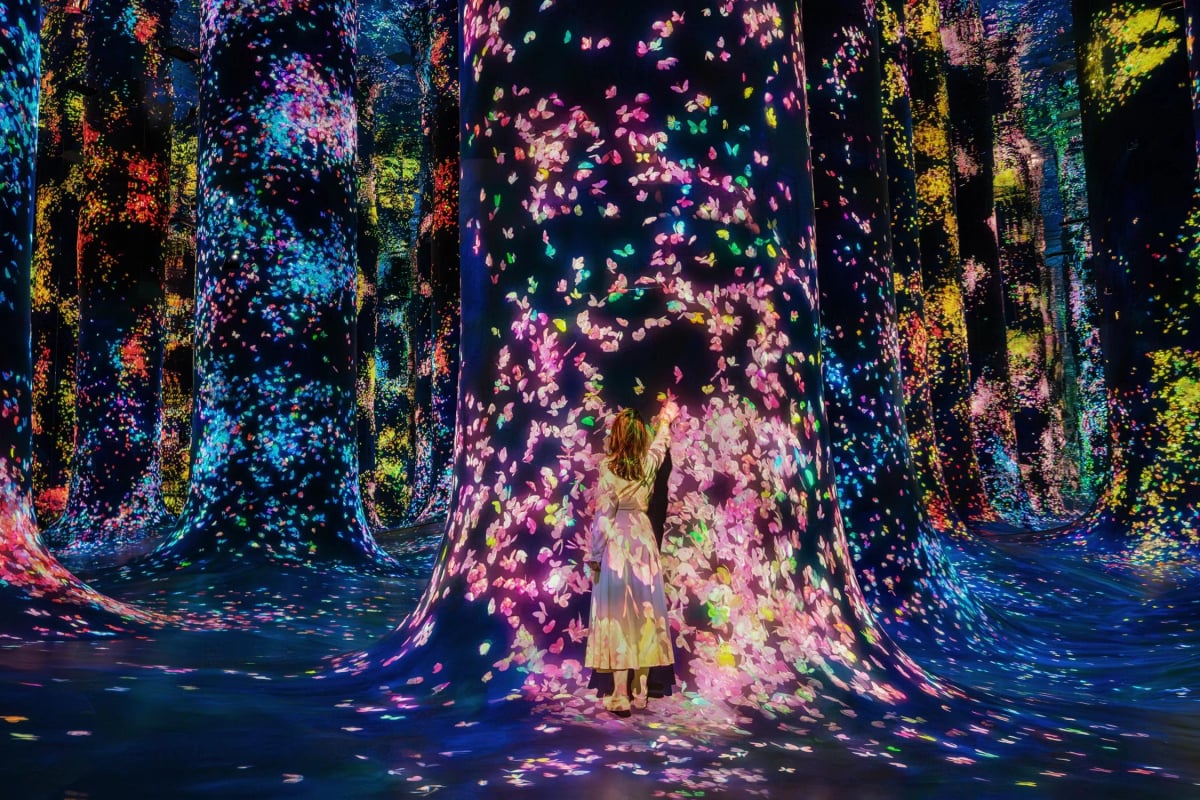A woman among projected flowers on giant tree trunks in a dark forest
